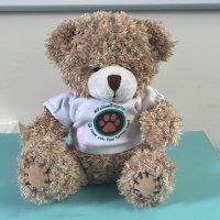 BradfordBagginsBTHFT (@bradfordbaggins) 's Twitter Profile Photo