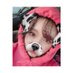 𝕨𝕒𝕥𝕒❆ (@_kagepro_love) Twitter profile photo 𝕨𝕒𝕥𝕒❆ (@_kagepro_love) Twitter profile photo