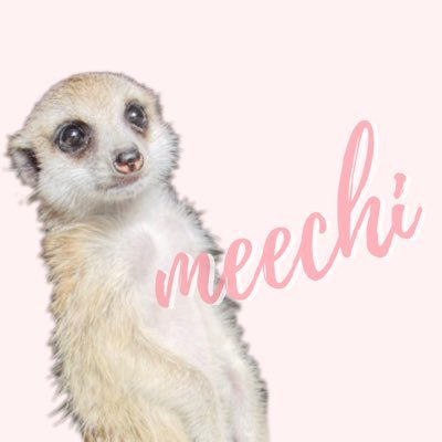 みーやきゃっと ミーアキャット | 【公式】池田動物園