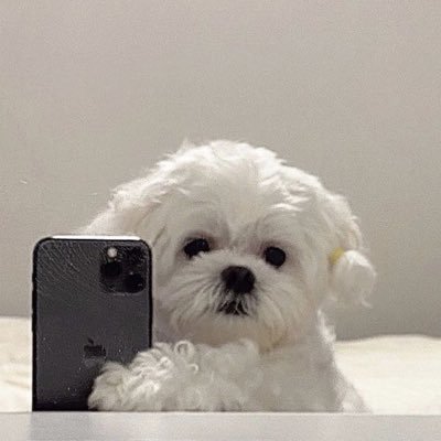 secl253's profile picture. 裏垢女子 24 👼🏻♡