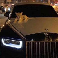 علي حسين بليبل ali bliebel (@eblibil35222) 's Twitter Profile