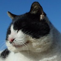 spookee(スプーキー)✈ (@spookee601) 's Twitter Profile