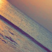 Asad Ali (@asad__ali_) 's Twitter Profile