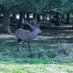 Nature lover (@barryrudgwick1) Twitter profile photo Nature lover (@barryrudgwick1) Twitter profile photo