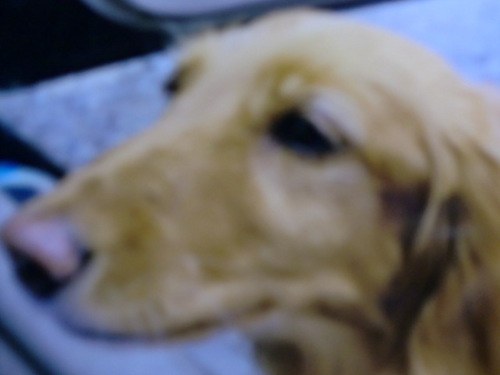 ecotasukete Profile Picture