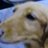 ecotasukete's profile image