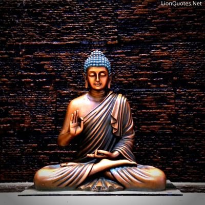 N1Dravid's profile picture. 