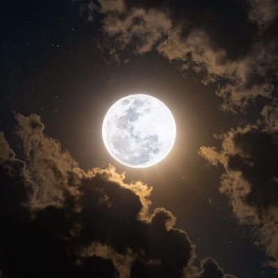 SaritaB87712539's profile picture. my life my rules