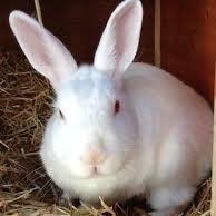 GirlVkr3747's profile picture. 