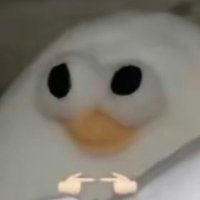 居居🦐 (@ggb2200) 's Twitter Profile