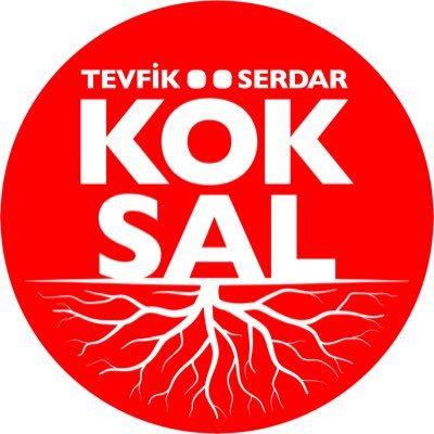 Güzel Ordu Kültür Sanat Vakfı Yönetim Kurulu Başkanı , Aktivist