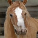 Jessi Wright - @JessiWrigh16235 - Twitter