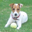 Dottie Smith - @dnsmith1975 - Twitter