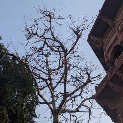 bing_hardik's profile picture. Web-3 maximalist!!
International Relations Enthusiast
Linked In - https://t.co/hXgcLdw41P
Email - hardikarya13@gmail.com