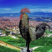 ❤️DENİZLİ ARA BUL❤️ (@denizliarabul20) 's Twitter Profile Photo