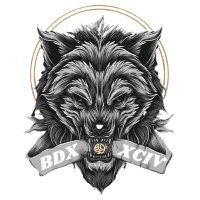 BDX XCIV(@EsportXCIV) 's Twitter Profile Photo