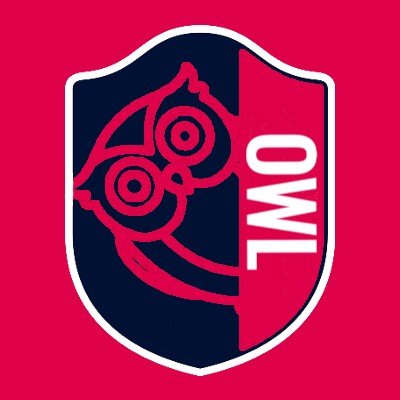 OwlCITYsc Profile Picture