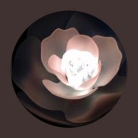 べり♡Berry♡vintage (@3berryberry) 's Twitter Profile