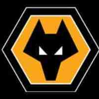 Wolves fan,golfer,love warm sunny weather.