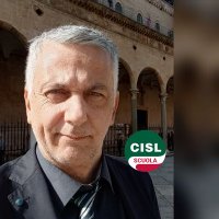 Vincenzo Giordano (@enzo_cisl_bg) 's Twitter Profile