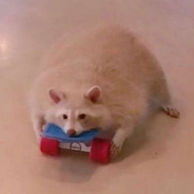 enr5817's profile picture. follower of niche