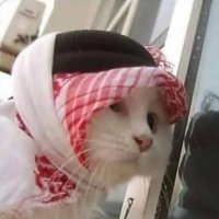 Archive (@1arsivhesabi) Twitter profile photo