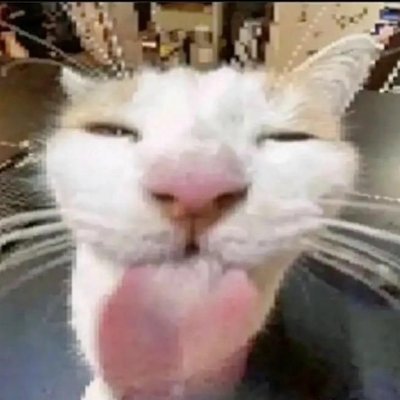 anneさんのプロフィール画像