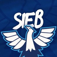 Sieb Demangel (@irt_sieb) 's Twitter Profile