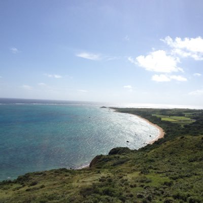 swV5AdWtOE2w0Le's profile picture. 