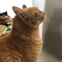 まめ🍙 (@mame_rk1999) 's Twitter Profile