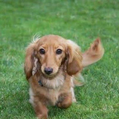 UI8mqWjrzA7416's profile picture. h×h好き マユリカ好き お笑い好き