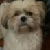 SP (@stevep203) Twitter profile photo SP (@stevep203) Twitter profile photo