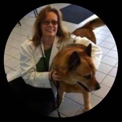 Small animal veterinarian. Follow my adventures in my veterinary medicine career, leadership roles, pet care, love and life.