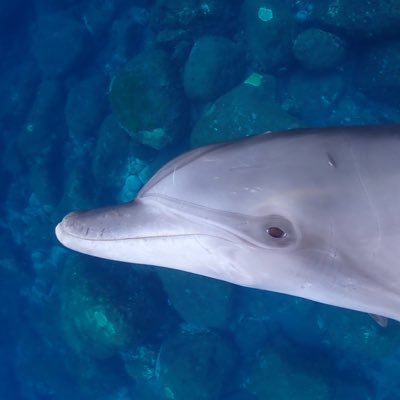 a87448's profile picture. 