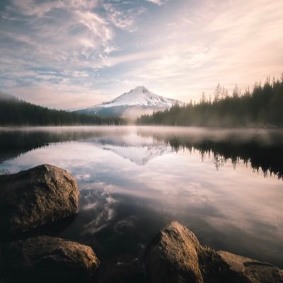 michell35253689's profile picture. To be honest