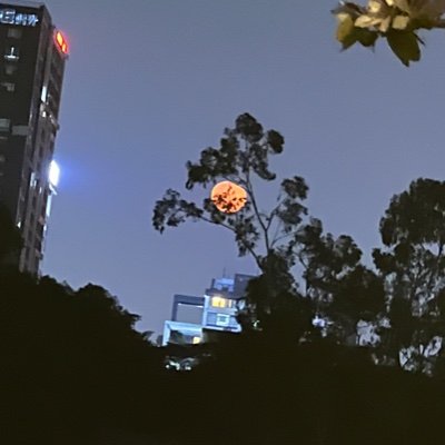byzze1's profile picture. 