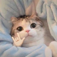 (busy) ฝากกด 0.035 รวมส่งแอร์ (@ttbbshopp) 's Twitter Profile Photo (busy) ฝากกด 0.035 รวมส่งแอร์ (@ttbbshopp) 's Twitter Profile Photo