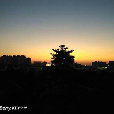 FENGYAN16523319's profile picture. 