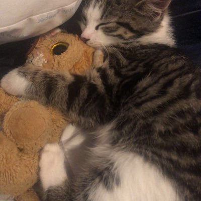 Kellie_gior0802's profile picture. 