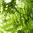 I feel strongly about protecting the world we live in by making conscious green decisions.