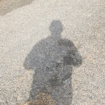 AlexausNh's profile picture. 