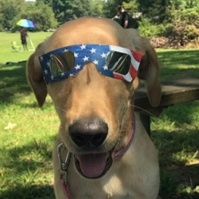 JgPeck7's profile picture. Dad and husband first, conservative, pretty big fan of Donald Trump, but I’m really just here for the rockets