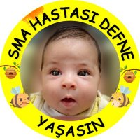 🐝🍯Sma Defne Yaşasın/Defne Gürbulak %51🐝🍯(@SmaDefneYasasin) 's Twitter Profile Photo