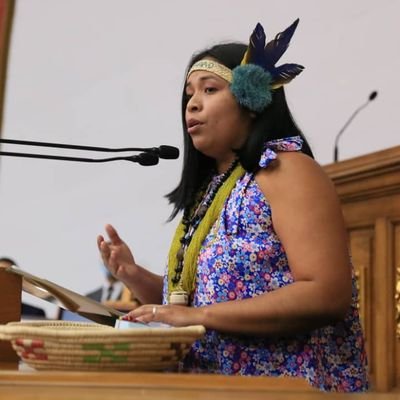 #Warao
Diputada Indígena de la Asamblea Nacional Region Oriente 2021-2026.
Presidenta del Parlamento Indígena y Afrodescendiente de América, GPV