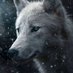 wolf (@ibgspmngks) Twitter profile photo wolf (@ibgspmngks) Twitter profile photo