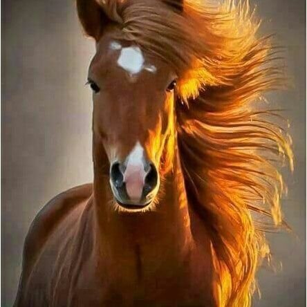 OmerKay28548148's profile picture. 