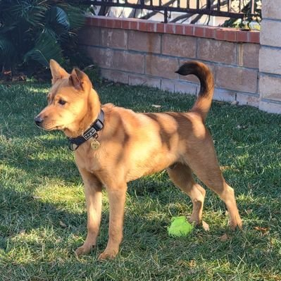 jacobberry58's profile picture. Artist - https://t.co/yoRujWo2aC https://t.co/Cd97wINq9j 🇧🇩🫀 @kula_collective | @burritodao | @pureweb3