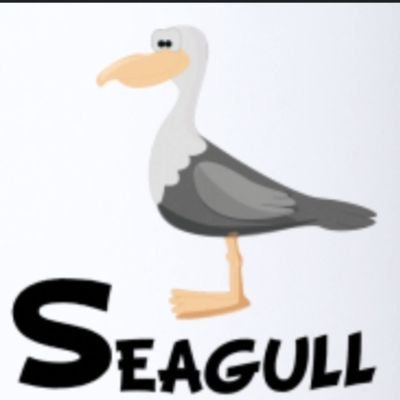 MickSeagull Profile Picture