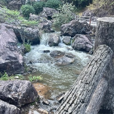 BaredHanna's profile picture. | NFT collector | ETH holder | YOU THE REAL MVP # 163 | Wonderpals forever