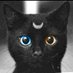 Miquel ö (@miguel19821817) Twitter profile photo Miquel ö (@miguel19821817) Twitter profile photo